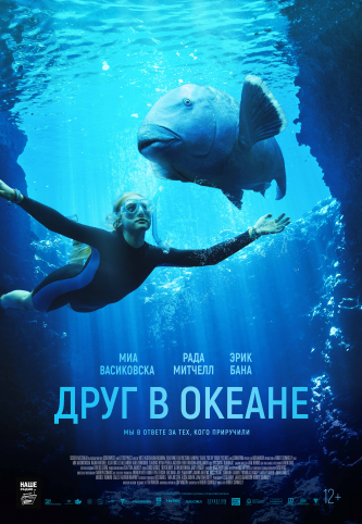 film-4