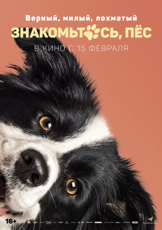 film-4