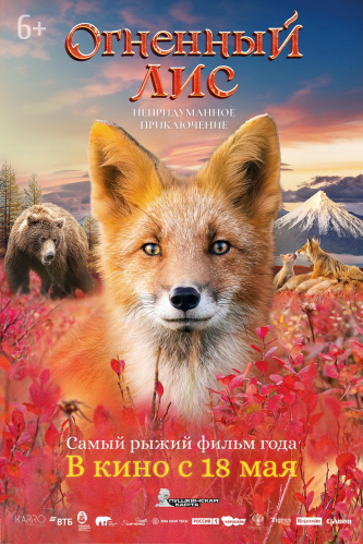 film-4