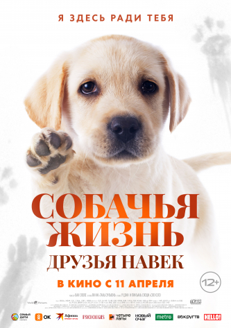 film-4
