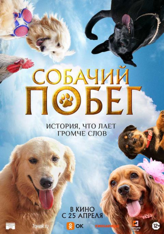 film-4