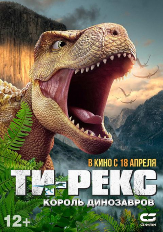 film-4