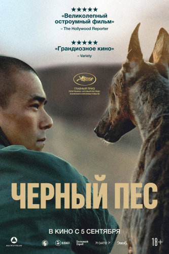 film-4