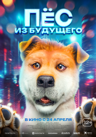 film-4