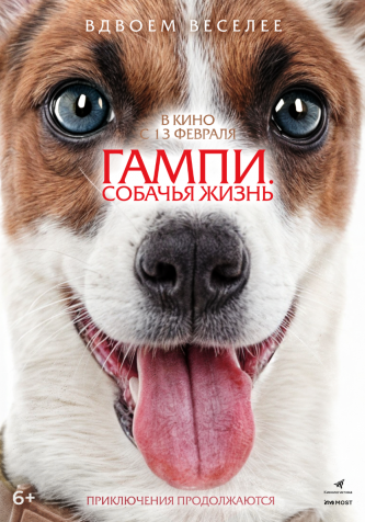 film-4