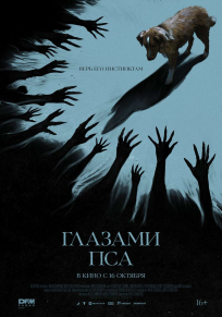 film-1