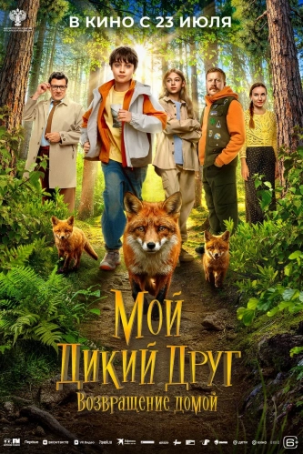 film-4