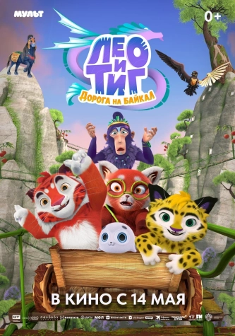 film-4